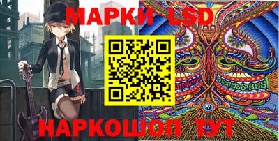 гашик Донской