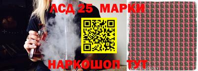 гашик Донской