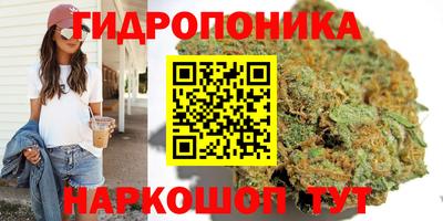 гашик Донской