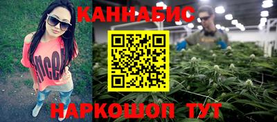 гашик Донской