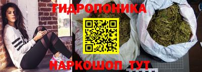 гашик Донской