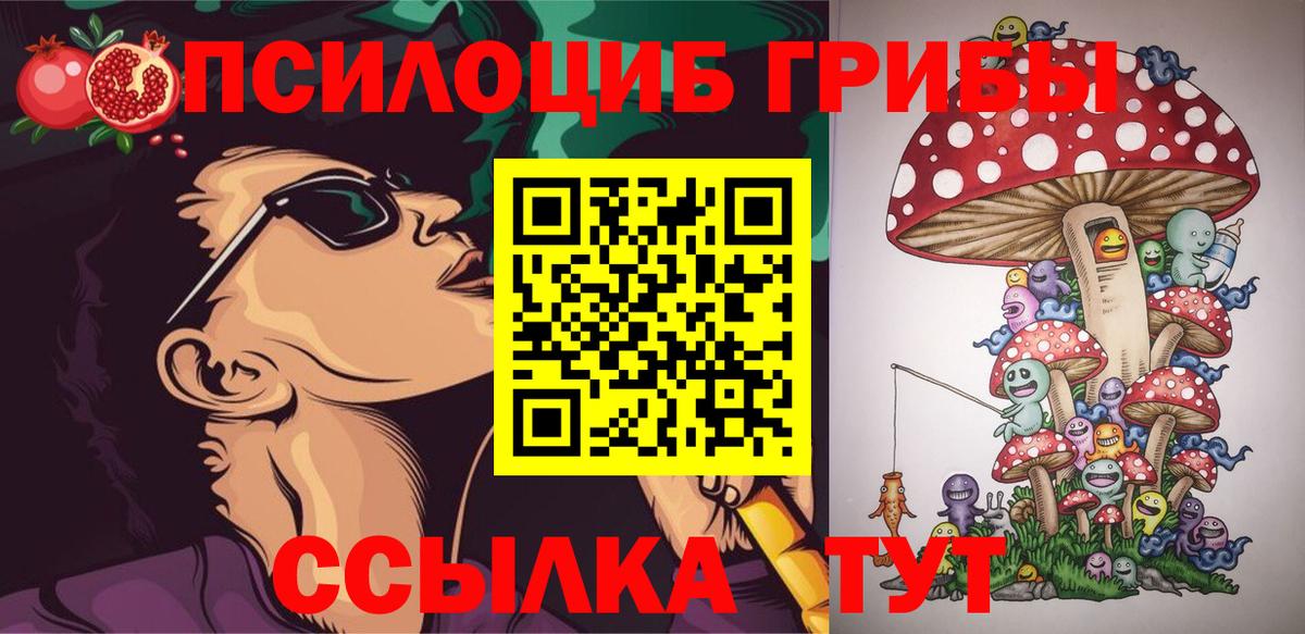 Галлюциногенные грибы Cubensis  Псилоцибиновые грибы Cubensis  Ржев  Вход с VPN 